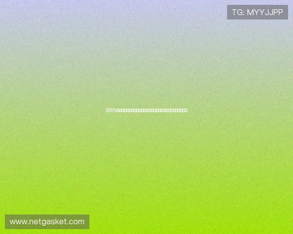 BBIN真人旗舰厅在世界杯期间的安全保障措施与用户隐私保护策略详解